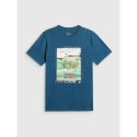 T-shirt regular z nadrukiem męski 4F 4FRSS26TTSHM4304-46S 4f