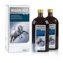 Animedica Derbymed Mobility HCC 2x500ml Livisto