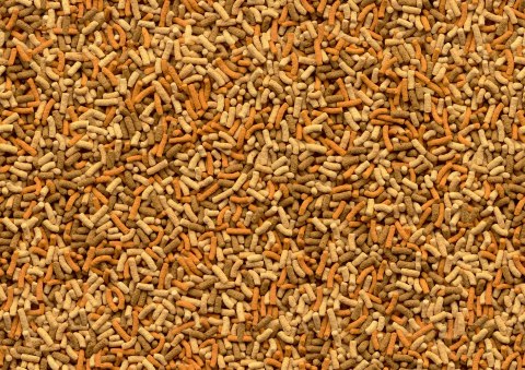 Tetra Pond Variety Sticks 7l TETRA