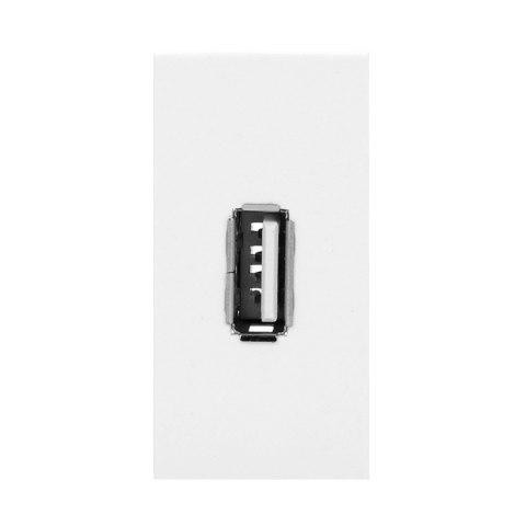 NOEN USB data, gniazdo modułowe 22,5x45mm USB data 2.0, białe Orno