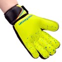 Rękawice bramkarskie Meteor Defence Jr 03826 Meteor