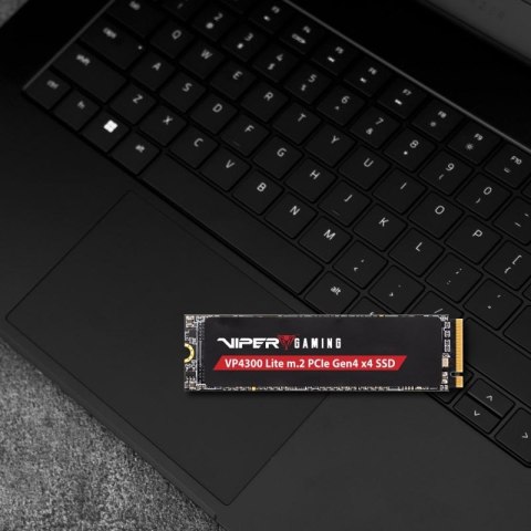 SSD Patriot Viper VP4300L M.2 PCI-Ex4 NVMe 1TB Patriot Memory