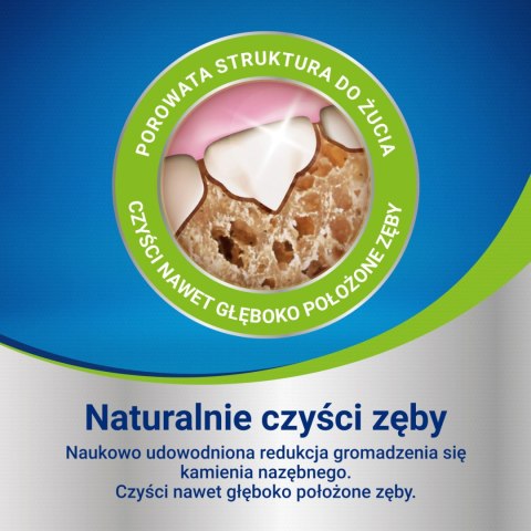 PURINA Dentalife Medium 115g Purina