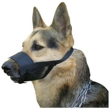 Dingo Kaganiec Weterynaryjny Nylonowy Dla Psa Rozmiar 2 16-20cm Dingo