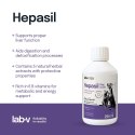 Lab-V Hepasil Dog & Cat Preparat Na Wątrobę Dla Psa I Kota 250ml LAB-V