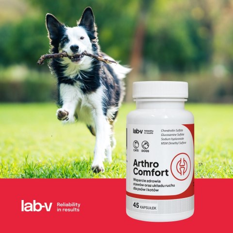 Lab-v Arthro Comfort Kompleksowe Wsparcie Zdrowia Stawów I Układu Ruchu Dla Psów I Kotów 45 Kapsułek LAB-V