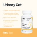 Lab-v Urinary Cat Wsparcie Układu Moczowego Dla Kotów 45 Kapsułek LAB-V