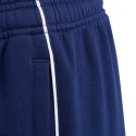 Spodnie adidas Core 18 Sweat Pant Jr CV3958 Adidas