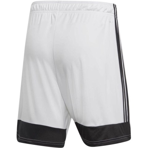 Spodenki adidas Tastigo 19 Shorts M DP3247 Adidas