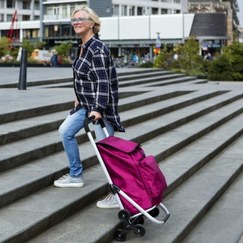 Wózek zakupowy Cruiser Expert Premium 604361 Cruiser