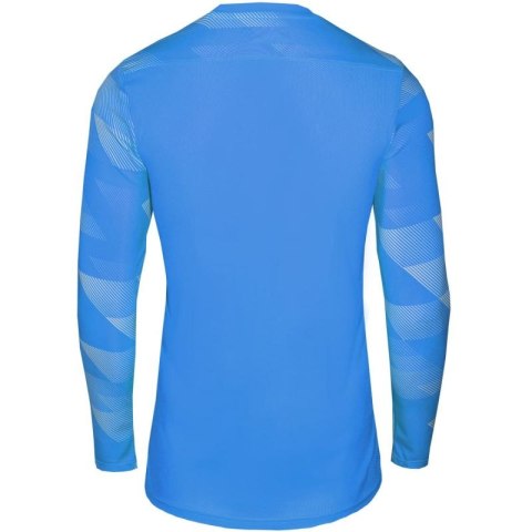 Koszulka Nike Dry Park IV JSY LS GK Jr CJ6072-463 Nike