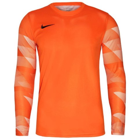Koszulka Nike Dry Park IV JSY LS GK Jr CJ6072-819 Nike