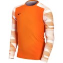 Koszulka Nike Dry Park IV JSY LS GK Jr CJ6072-819 Nike