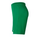 Spodenki Nike Park III Knit Jr BV6865-302 Nike