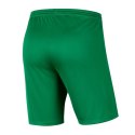 Spodenki Nike Park III Knit Jr BV6865-302 Nike