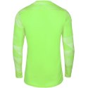 Koszulka Nike Dry Park IV JSY LS GK Jr CJ6072-702 Nike