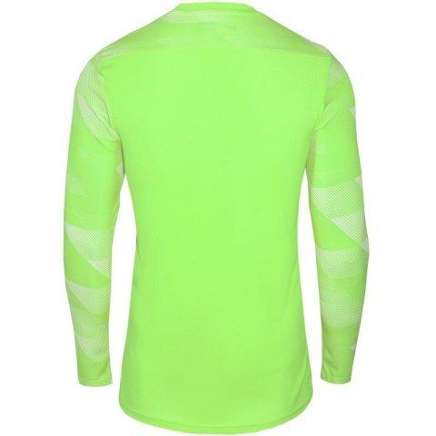 Koszulka Nike Dry Park IV JSY LS GK Jr CJ6072-702 Nike