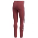 Spodnie legginsy adidas New A 78 TIG W GD9037 Adidas
