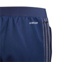 Spodnie adidas Tiro 21 Training Jr GK9659 Adidas