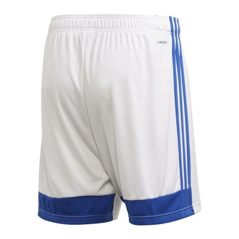 Spodenki adidas Tastigo 19 Shorts M FI6355 Adidas