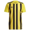 Koszulka adidas Striped 21 JSY M GV1378 Adidas