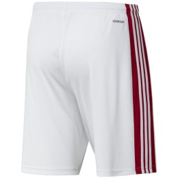 Spodenki adidas Squadra 21 Short M GN5770 Adidas