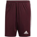 Spodenki adidas Squadra 21 Short M GN8083 Adidas