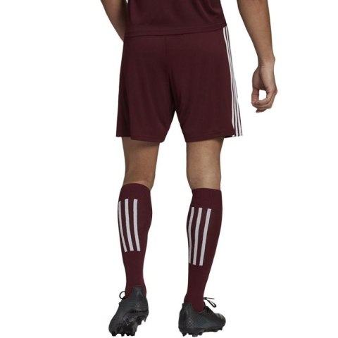 Spodenki adidas Squadra 21 Short M GN8083 Adidas