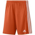 Spodenki adidas Squadra 21 Short M GN8084 Adidas