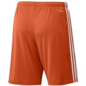 Spodenki adidas Squadra 21 Short M GN8084 Adidas