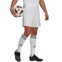 Spodenki adidas Squadra 21 Short M GN5774 Adidas