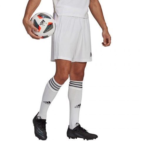 Spodenki adidas Squadra 21 Short M GN5774 Adidas