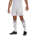 Spodenki adidas Squadra 21 Short M GN5774 Adidas