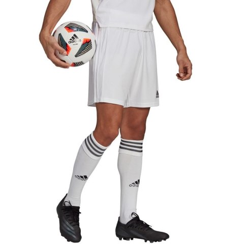 Spodenki adidas Squadra 21 Short M GN5774 Adidas
