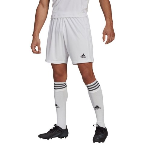 Spodenki adidas Squadra 21 Short M GN5774 Adidas