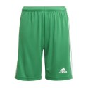 Spodenki adidas Squadra 21 Short Y Jr GN5762 Adidas