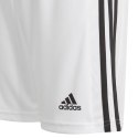 Spodenki adidas Squadra 21 Short Youth Jr GN5766 Adidas