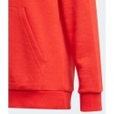 Bluza adidas Essentials Big Logo Hoodie Jr GN4037 Adidas