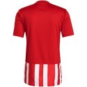 Koszulka adidas Striped 21 Jersey M GN7624 Adidas