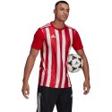 Koszulka adidas Striped 21 Jersey M GN7624 Adidas