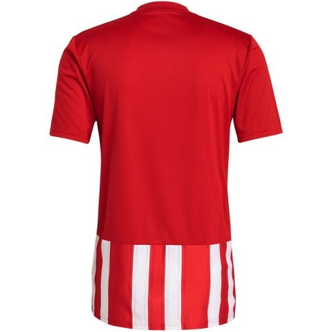 Koszulka adidas Striped 21 Jersey M GN7624 Adidas