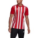 Koszulka adidas Striped 21 Jersey M GN7624 Adidas