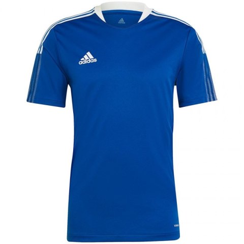 Koszulka adidas TIRO 21 TR JSY M GM7589 Adidas