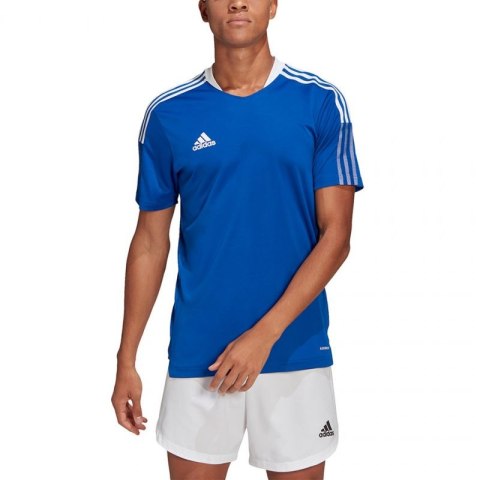 Koszulka adidas TIRO 21 TR JSY M GM7589 Adidas