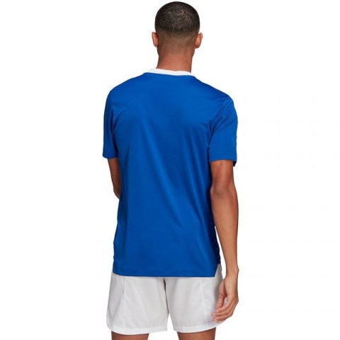 Koszulka adidas TIRO 21 TR JSY M GM7589 Adidas