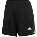Spodenki adidas Squadra 21 Short W GN5780 Adidas
