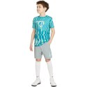 Spodenki Nike NK Df Academy Shrt Wp Gx Jr CV1469 019 Nike