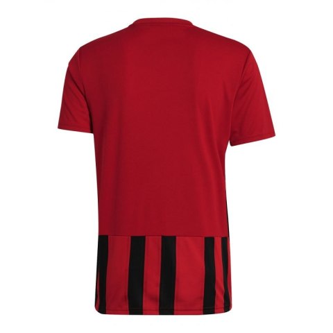 Koszulka adidas Striped 21 M GV1381 Adidas