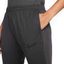 Spodnie Nike Dri-FIT Academy W CV2665-060 Nike