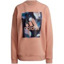 Bluza adidas Youforyou Sweatshirt W HA2431 Adidas